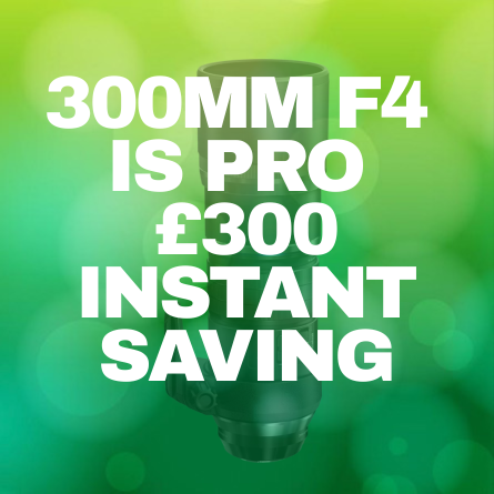 Image M.Zuiko 300mm F4.png